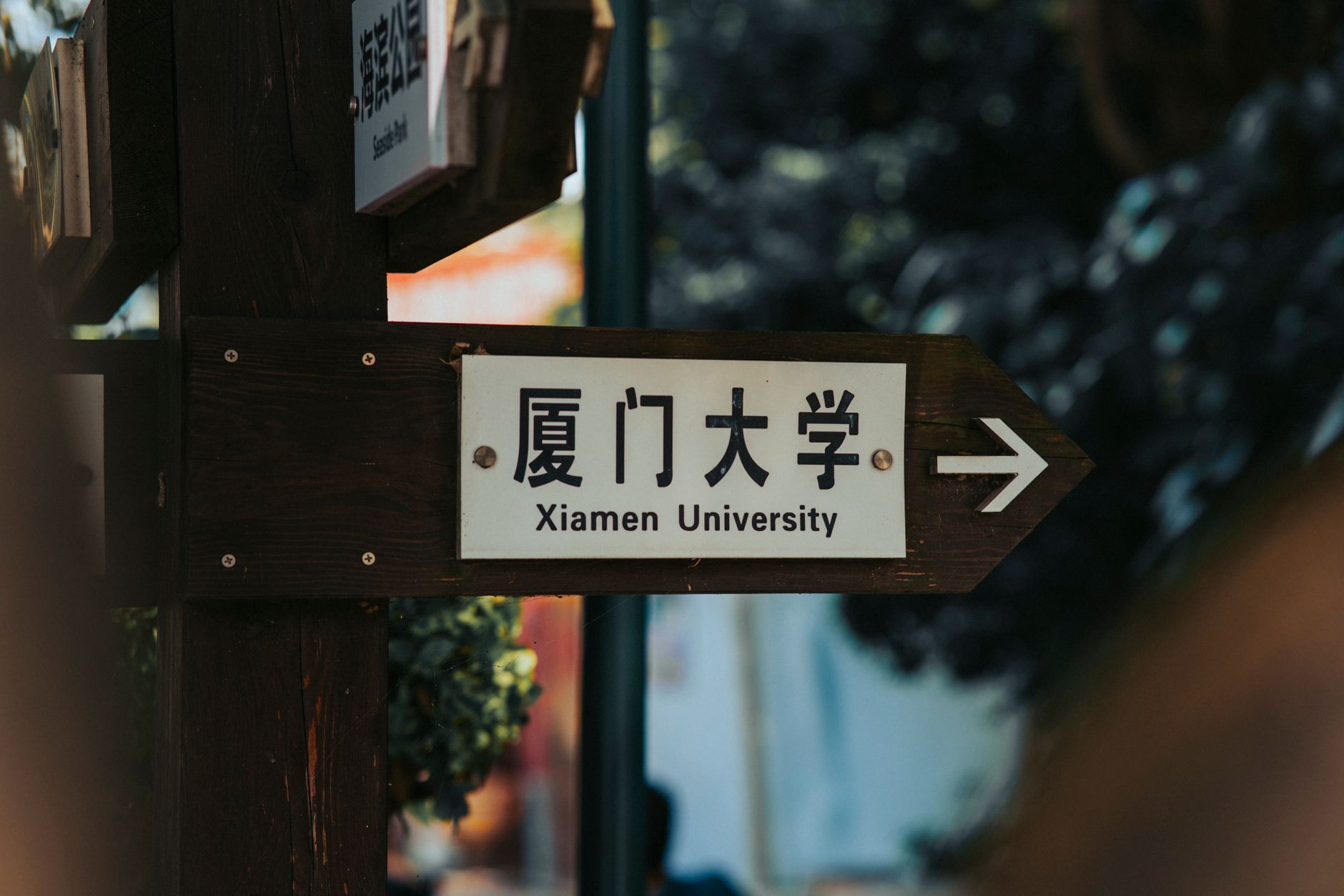 liuxueai-org 配图